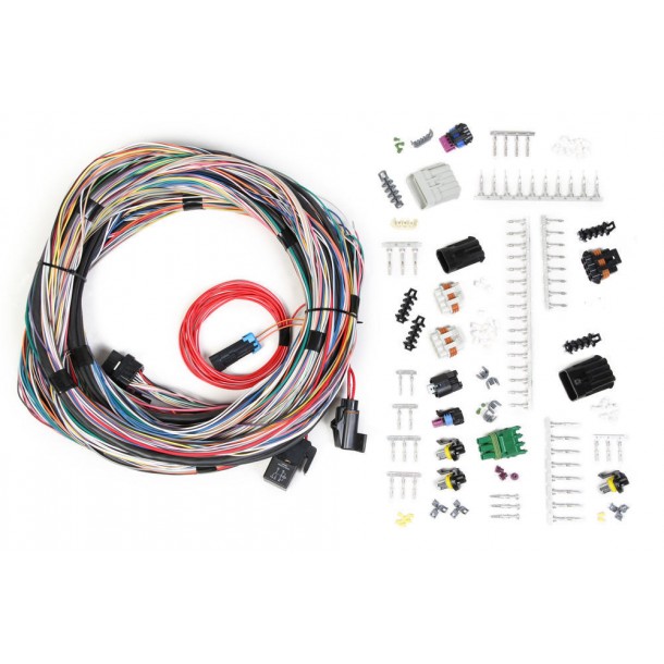 Main Harness, Unterminated Universal