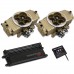Dual Terminator Throttle Body  Injection System